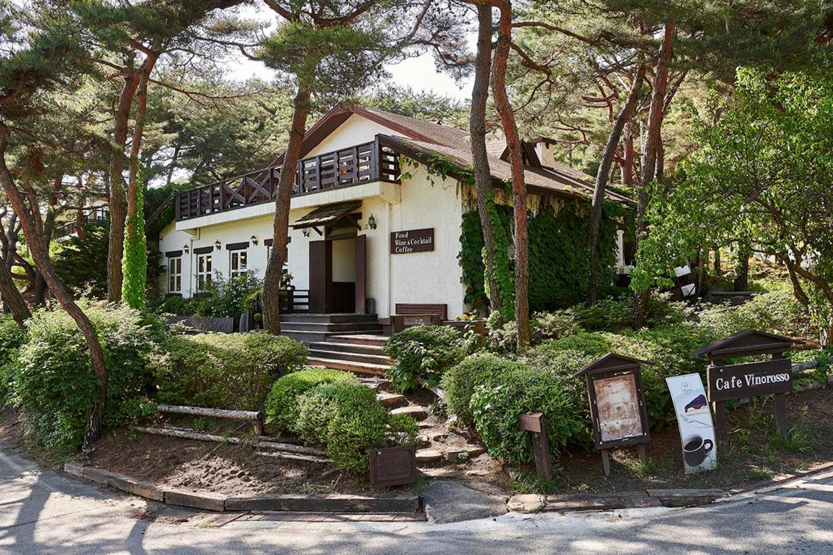 Club Es Jecheon Resort Chech'ŏn Exterior foto